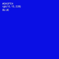 #0A0FE4 - Blue Color Image