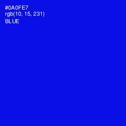 #0A0FE7 - Blue Color Image