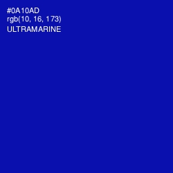 #0A10AD - Ultramarine Color Image