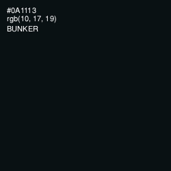 #0A1113 - Bunker Color Image