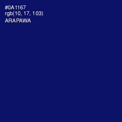 #0A1167 - Arapawa Color Image