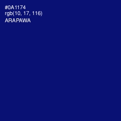 #0A1174 - Arapawa Color Image