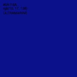 #0A118A - Ultramarine Color Image