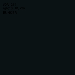 #0A1214 - Bunker Color Image