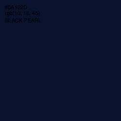 #0A122D - Black Pearl Color Image