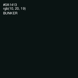 #0A1413 - Bunker Color Image