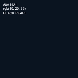 #0A1421 - Black Pearl Color Image