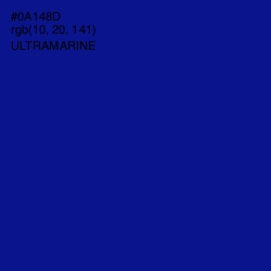 #0A148D - Ultramarine Color Image