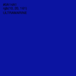 #0A14A1 - Ultramarine Color Image