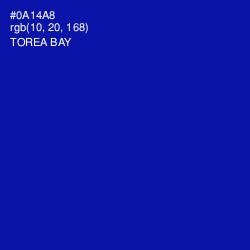 #0A14A8 - Torea Bay Color Image