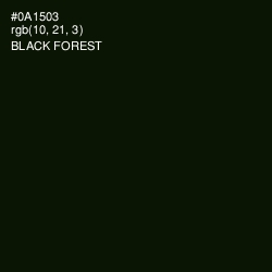 #0A1503 - Black Forest Color Image