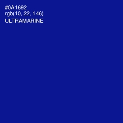 #0A1692 - Ultramarine Color Image