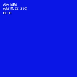 #0A16E6 - Blue Color Image