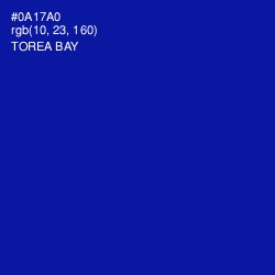 #0A17A0 - Torea Bay Color Image