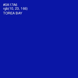 #0A17A6 - Torea Bay Color Image