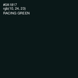 #0A1817 - Racing Green Color Image