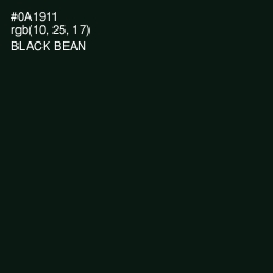 #0A1911 - Black Bean Color Image