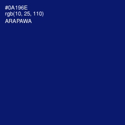 #0A196E - Arapawa Color Image