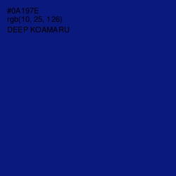 #0A197E - Deep Koamaru Color Image