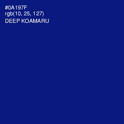 #0A197F - Deep Koamaru Color Image