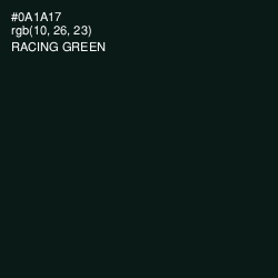 #0A1A17 - Racing Green Color Image