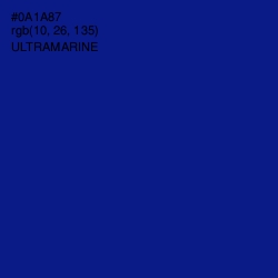 #0A1A87 - Ultramarine Color Image