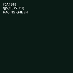 #0A1B15 - Racing Green Color Image