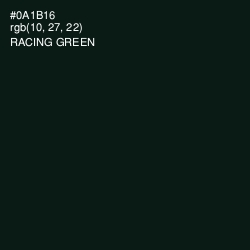 #0A1B16 - Racing Green Color Image
