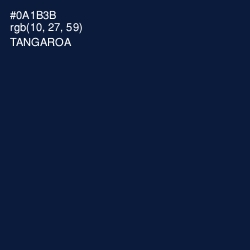 #0A1B3B - Tangaroa Color Image
