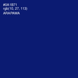 #0A1B71 - Arapawa Color Image