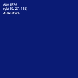 #0A1B76 - Arapawa Color Image