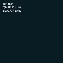 #0A1C23 - Black Pearl Color Image