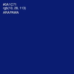 #0A1C71 - Arapawa Color Image