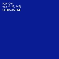 #0A1C94 - Ultramarine Color Image