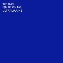 #0A1C9B - Ultramarine Color Image