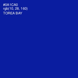 #0A1CA0 - Torea Bay Color Image