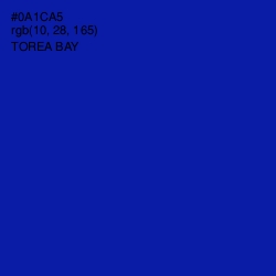 #0A1CA5 - Torea Bay Color Image