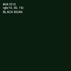 #0A1E10 - Black Bean Color Image