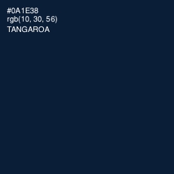 #0A1E38 - Tangaroa Color Image