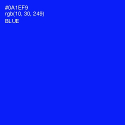 #0A1EF9 - Blue Color Image