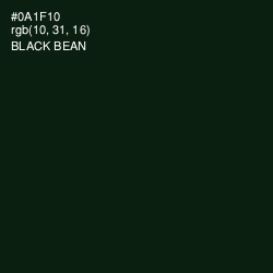#0A1F10 - Black Bean Color Image