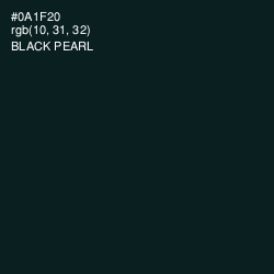 #0A1F20 - Black Pearl Color Image