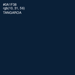 #0A1F38 - Tangaroa Color Image