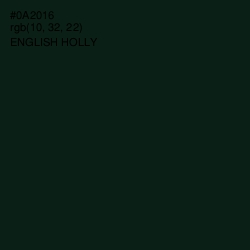 #0A2016 - English Holly Color Image