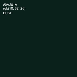 #0A201A - Bush Color Image