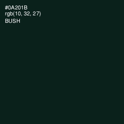 #0A201B - Bush Color Image