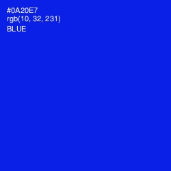 #0A20E7 - Blue Color Image