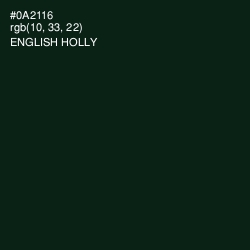 #0A2116 - English Holly Color Image