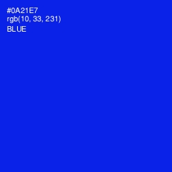 #0A21E7 - Blue Color Image