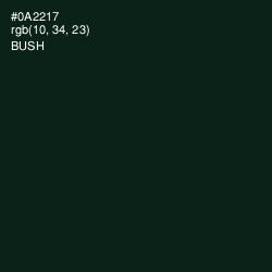 #0A2217 - Bush Color Image